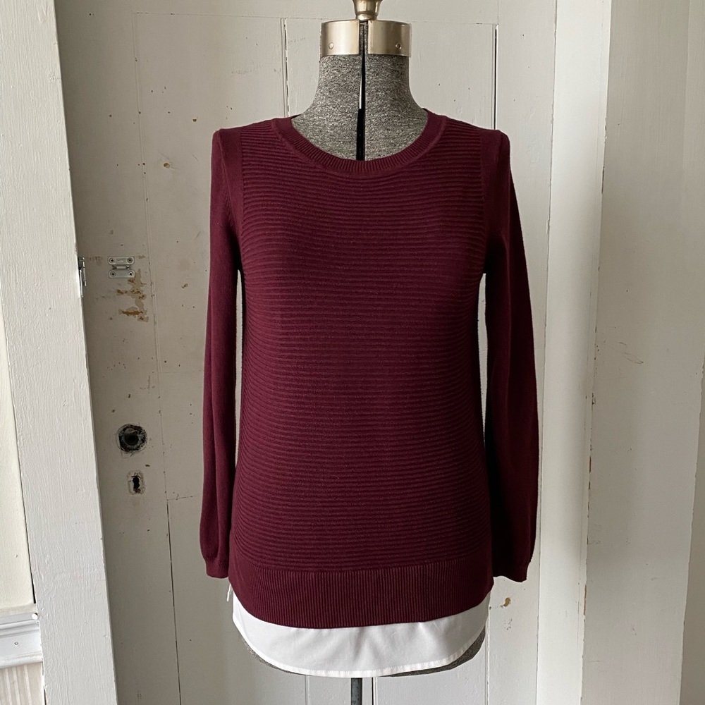 Hilary Radley Maroon Tunic Textured Knit Sweater with Shirt Tales
